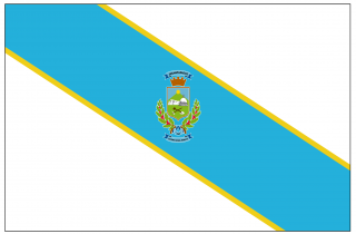 Bandera del Cantón de Desamparados